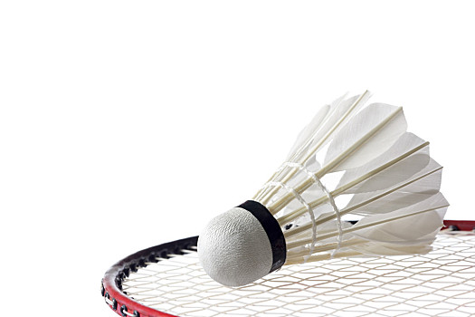 以及队伍调 以及队伍调