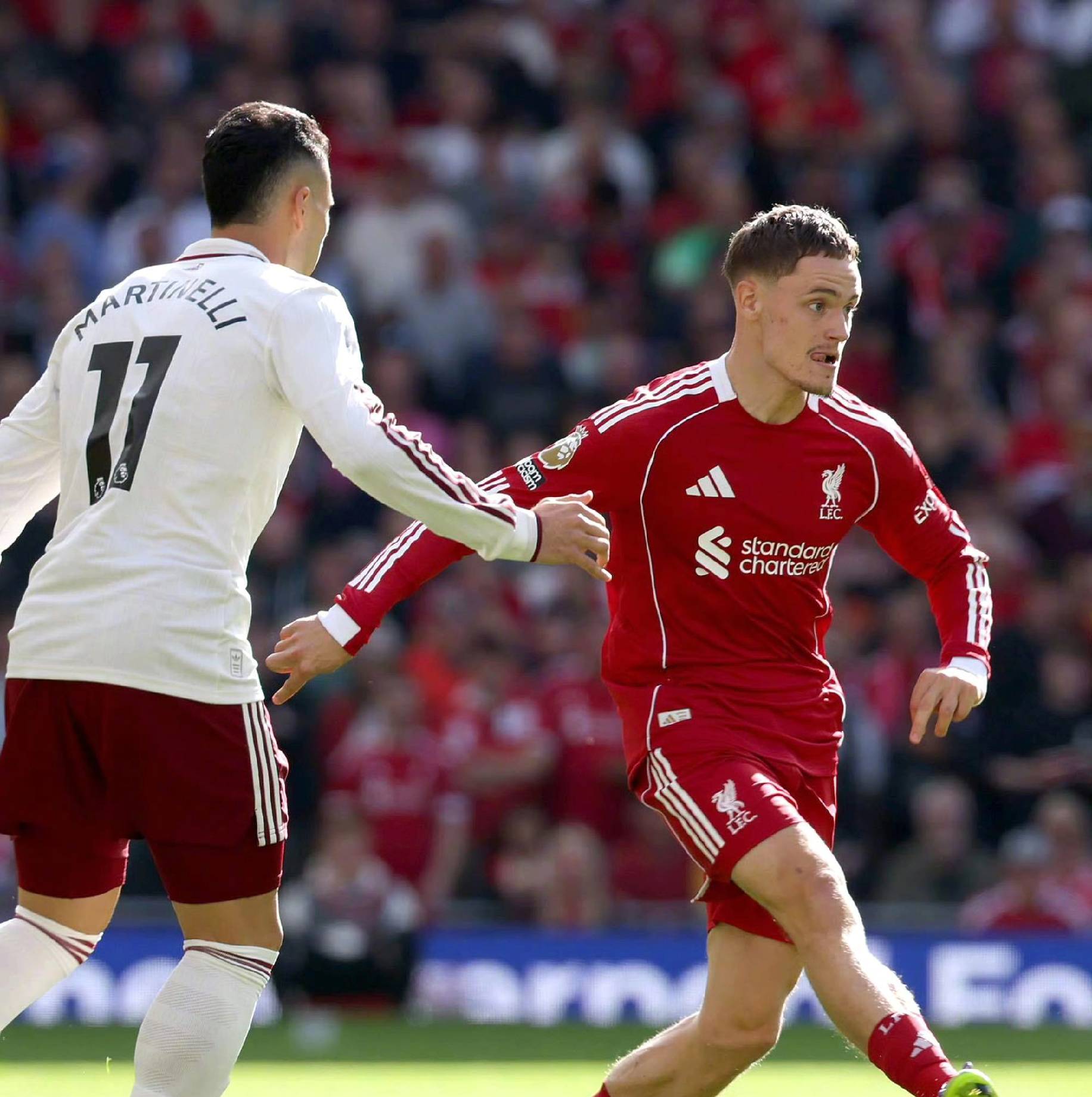 不妨看看本 不妨看看本