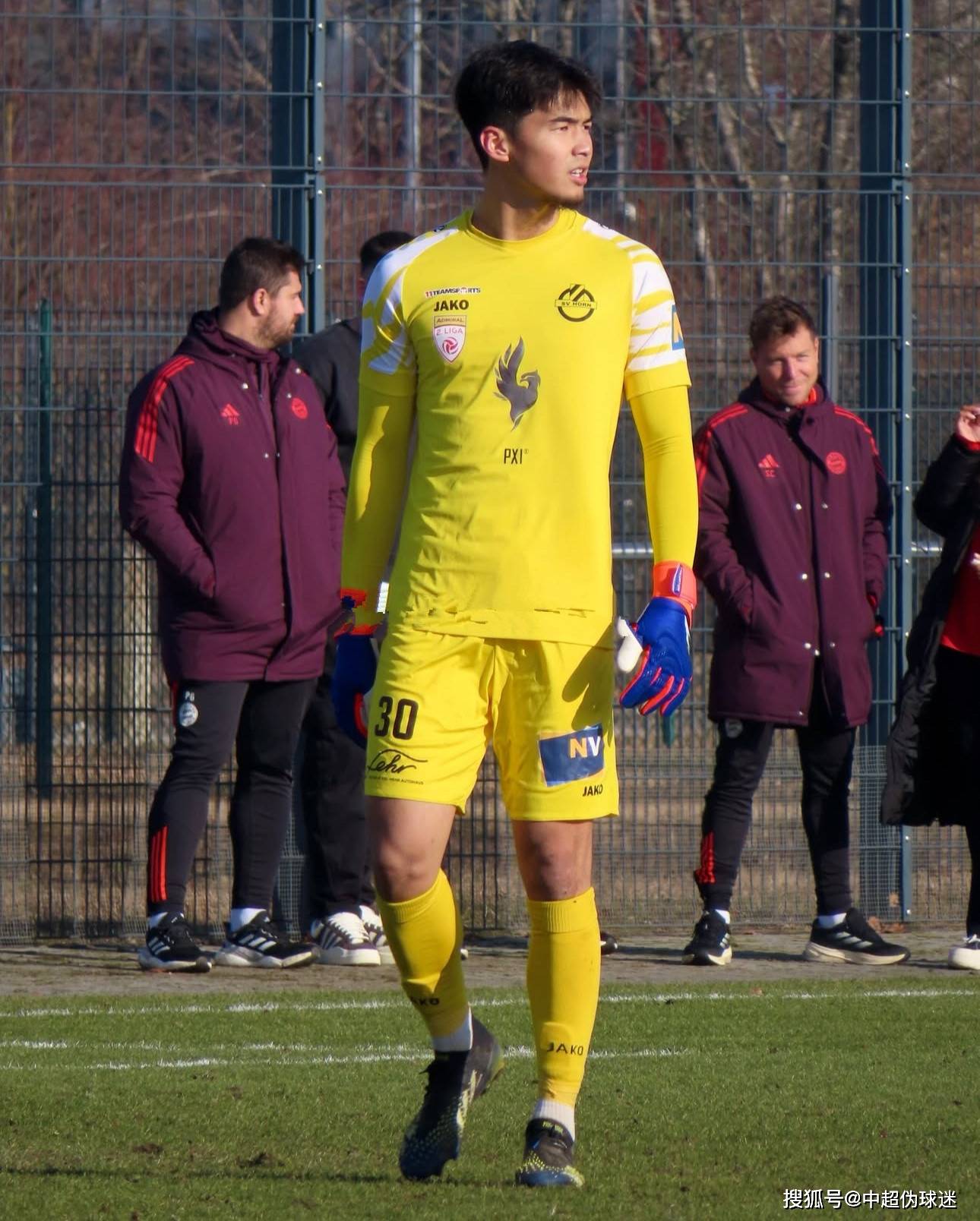 我们看到C 我们看到C