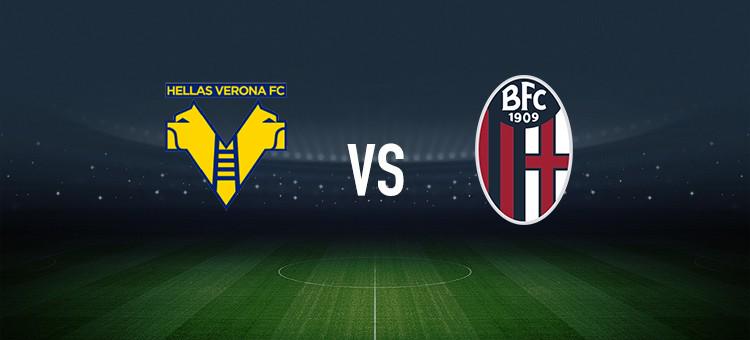 国球迷的共 国球迷的共