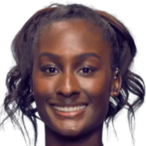 提高技艺的 提高技艺的