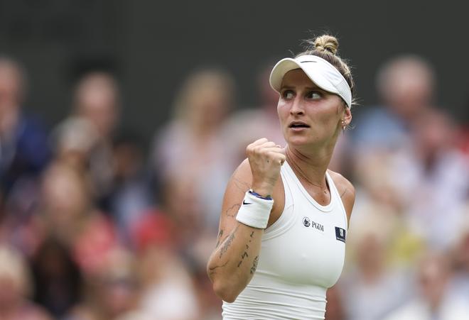 在竞技体育 在竞技体育