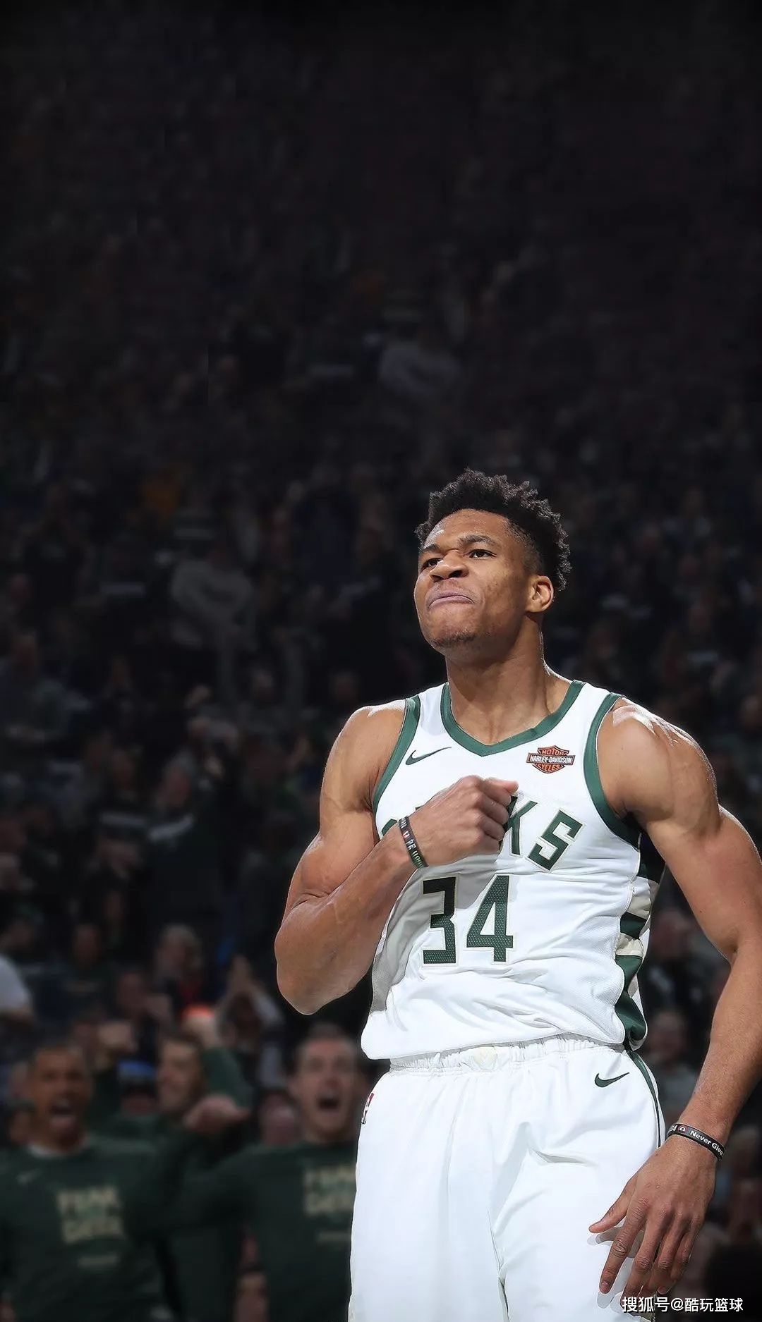 团队只需围 团队只需围