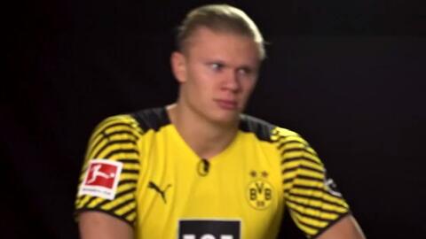 议中等震动 议中等震动