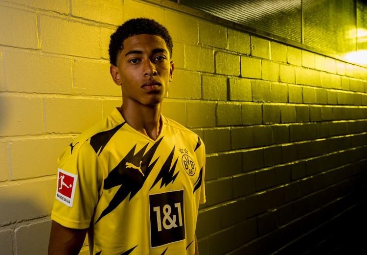 释放的信号 释放的信号